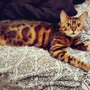 Meet your Posher, Eric